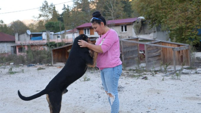 Yolda giderken kafası salça bidonuna sıkışan köpeği görüp kurtardı